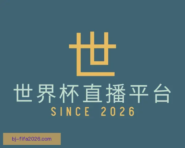 认识世界杯直播平台